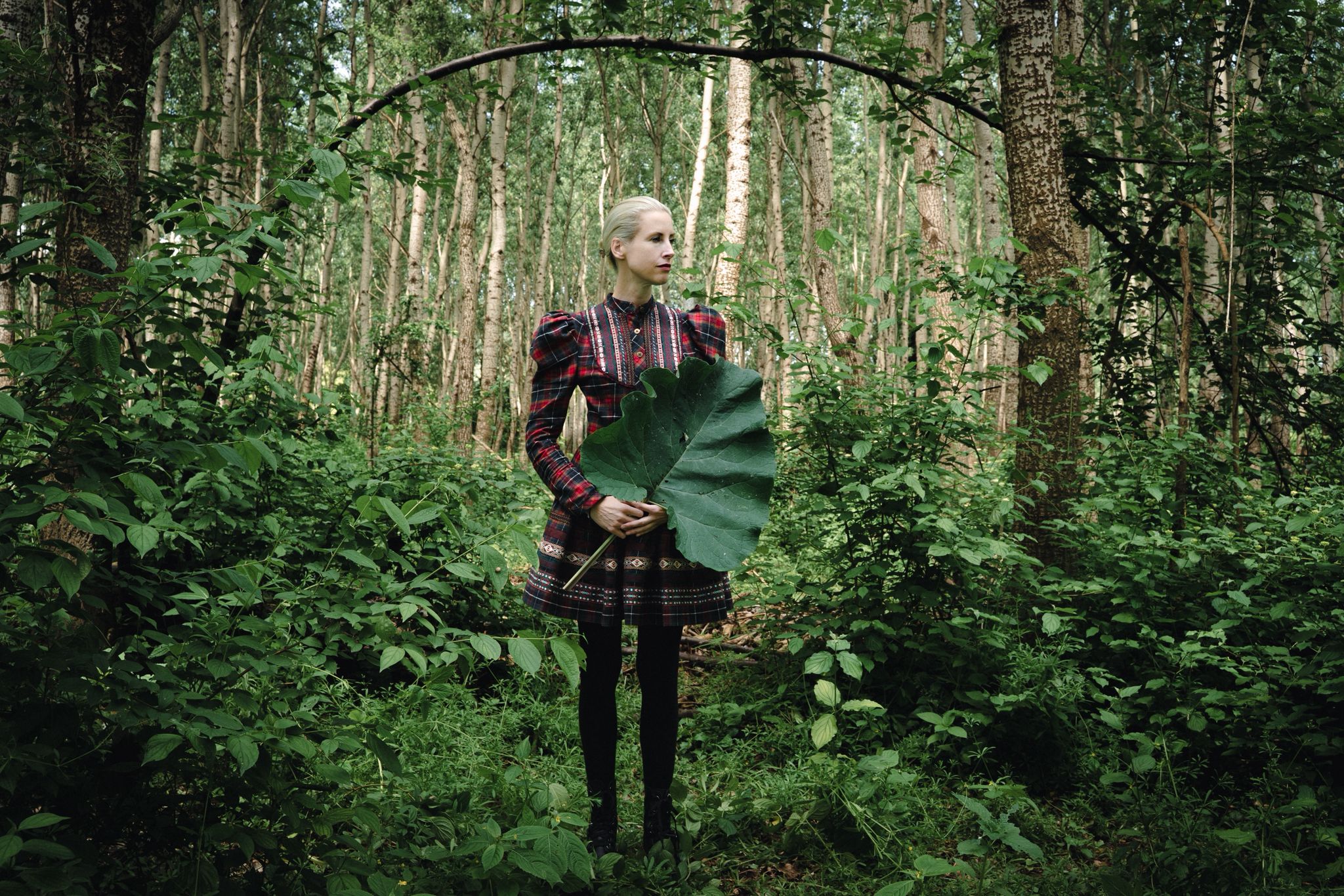 Annekatrin Meyers Woods